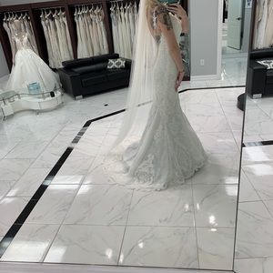 Pronovious wedding veil